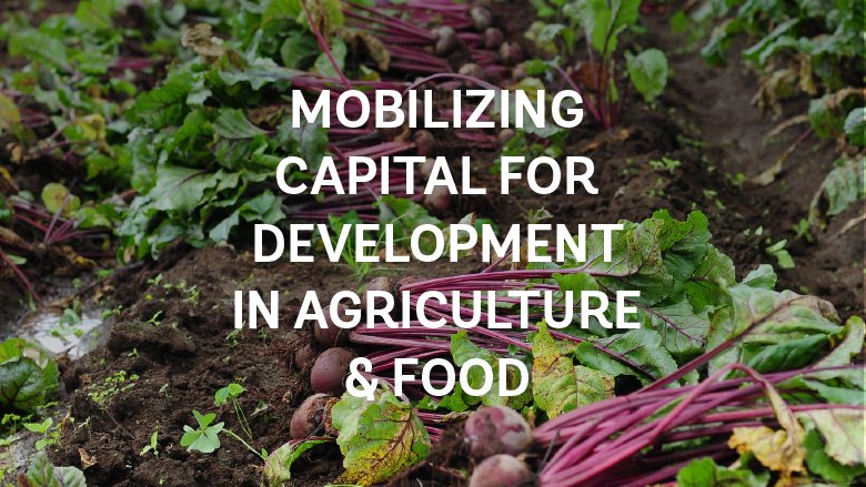 Mobilizing Capital for Development in Agriculture & Food