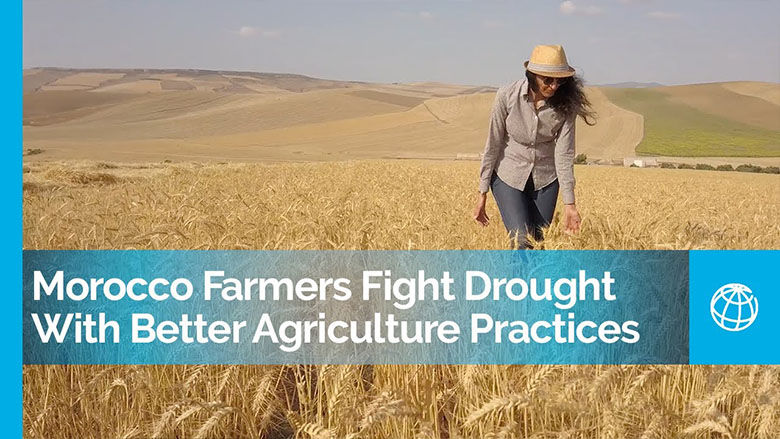 Morocco Farmers Fight Drought With Better Agriculture Practices
