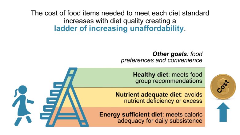 ladder of unaffordability showing three diet standards and a woman and ladder