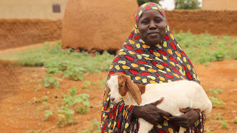 Update on Niger’s Economic Situation