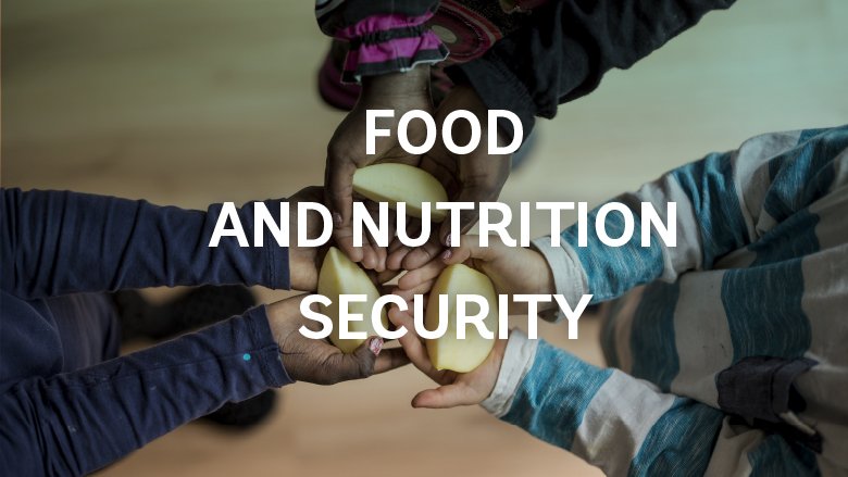 food and nutrition security