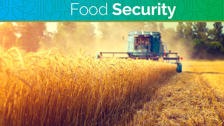Food Security Update
