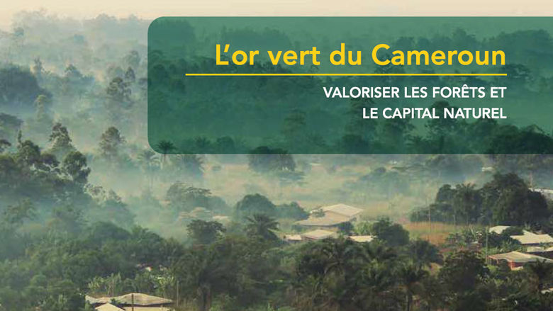 Rapport sur la situation économique du Cameroun 2025