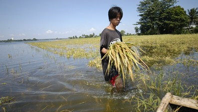 Survey: 8 of 10 Filipinos Personally Experience Impacts of Climate 