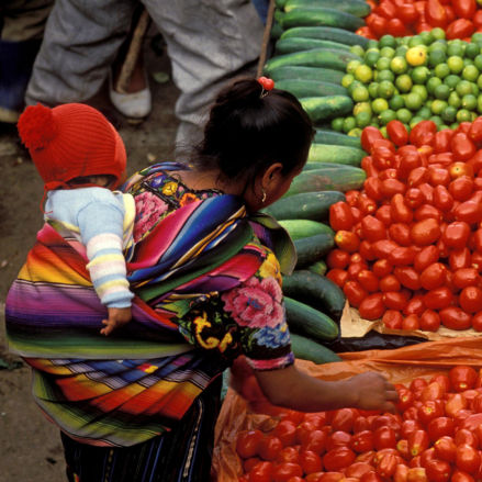 Picking fresh produce at the market