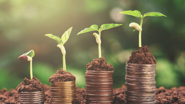  plant money growing concept FSAP website