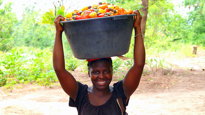 Guinea Bissau - Poverty, Shared Prosperity and Equity Update 
