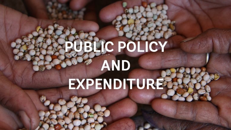 Public Policy and Expenditure