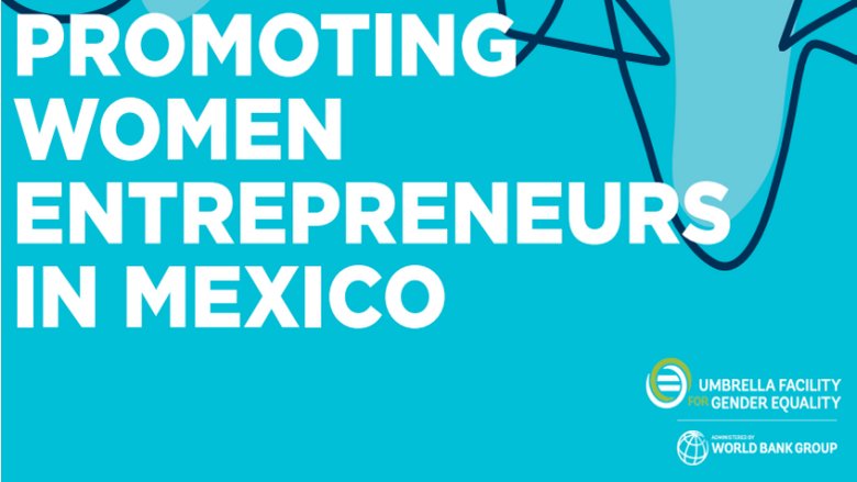 promoting women entrepreneurs in mexico text