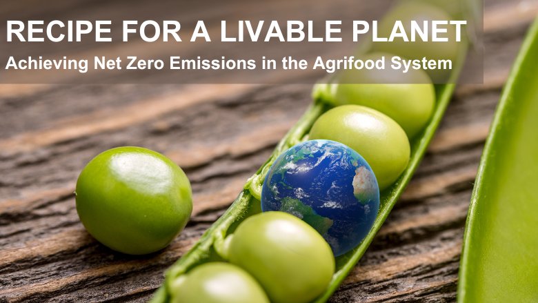 Cover image of Recipe for a Livable Planet report