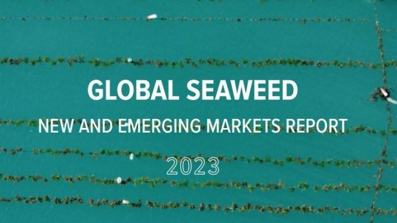 Global Seaweed Markets Report rectangular