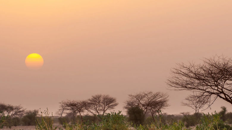 Landscape near the town of Massakory Chad