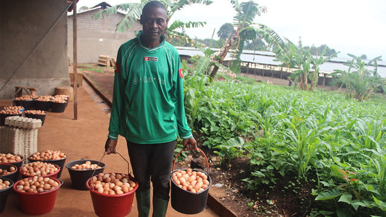 Revolutionizing livestock farming in Cameroon: the power of productive partnerships