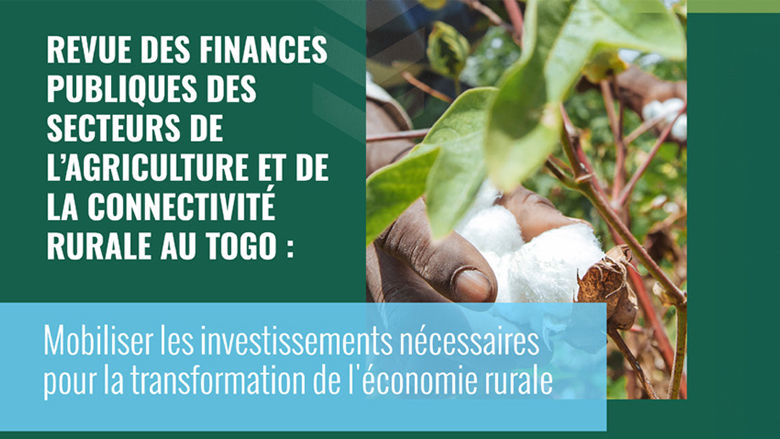 Togo - Revue des dépenses publiques