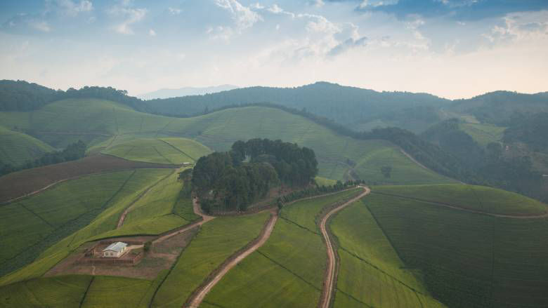 Rice paddies in swamps and marshes maximize arable land. Photo: A'Melody Lee / World Bank
