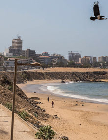 Senegal Economic Update 2024