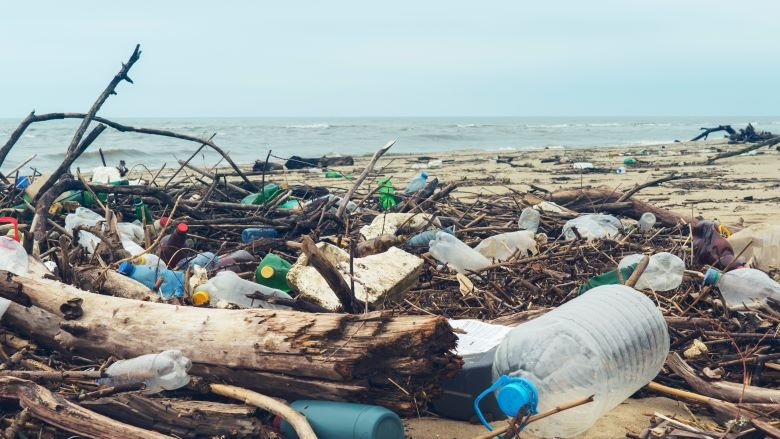 Spilled garbage on the beach of the big city. Empty used dirty plastic bottles. Credit: Larina Marina.