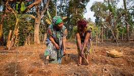 women land agriculture