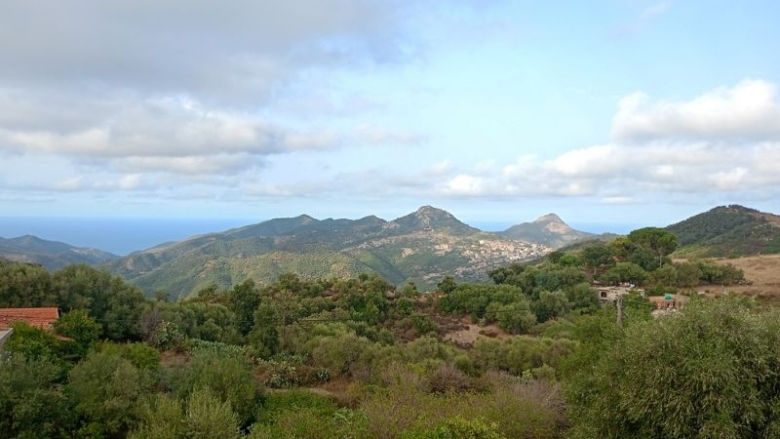 Algeria Forest Fires