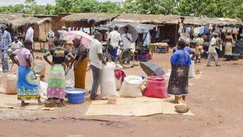 Image for G&I activity in Malawi