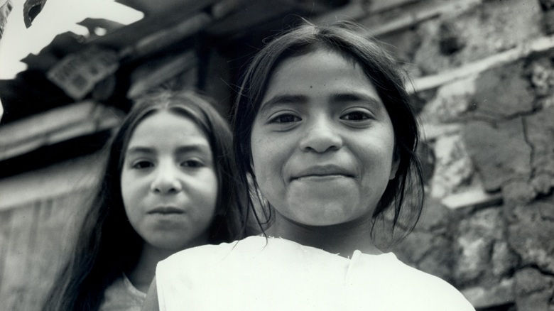 social development sector thumbnail
