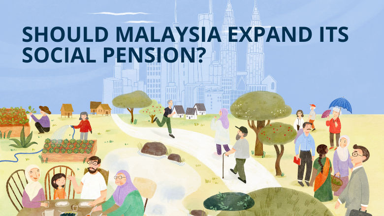 Web banner for the Social Pension paper
