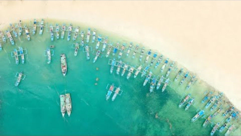 Solutions to Overfishing