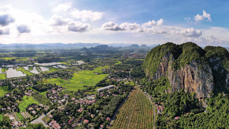 Banner for Malaysia subnational report