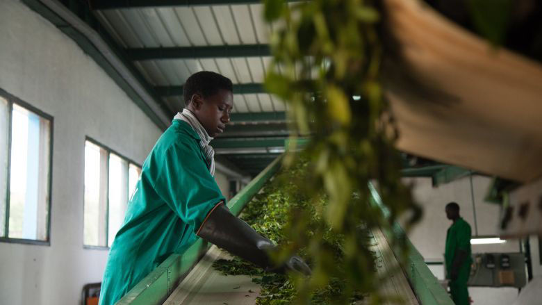 Worker at an agriculture processing plant