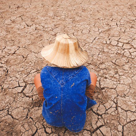 Drought in Thailand