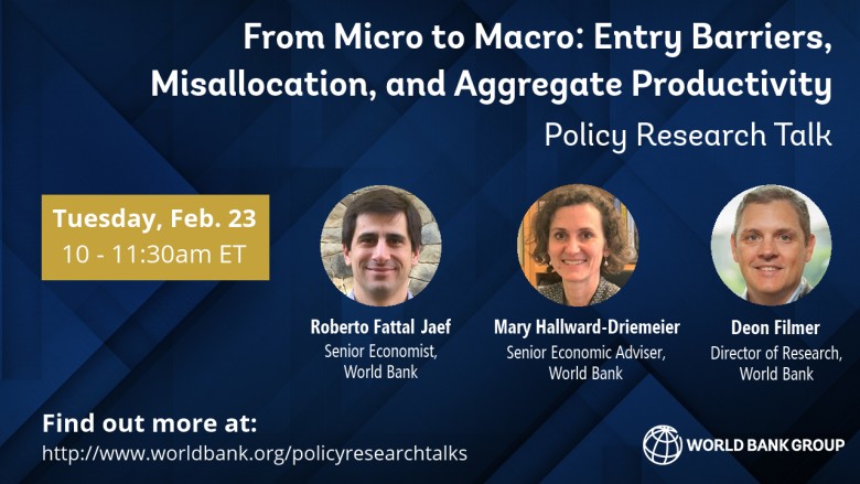 From Micro to Macro: Entry Barriers, Misallocation, and Aggregate Productivity