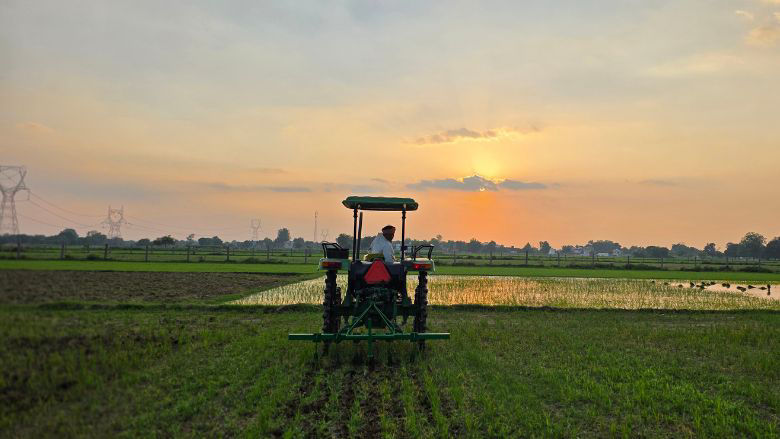 Farm in India