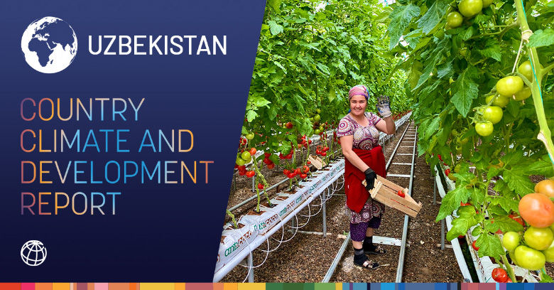 Climate and development report banner