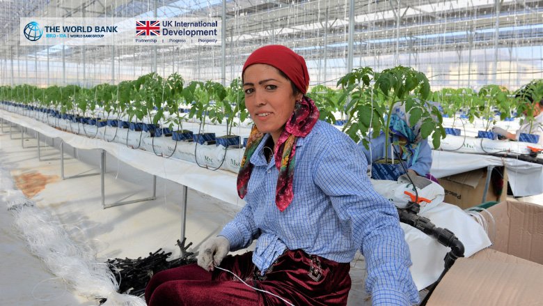 Woman in a greenhouse, Uzbekistan