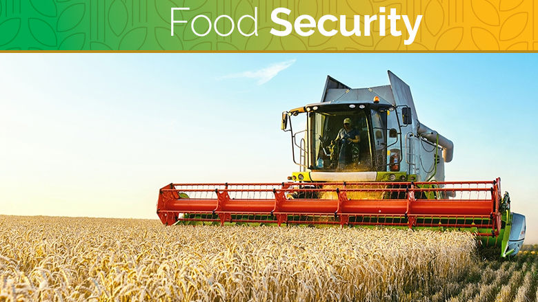 Tractor on a wheat field