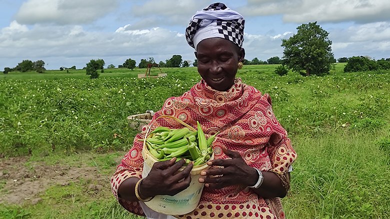 Bringing forth water to combat food insecurity and climate change in the Sahel  