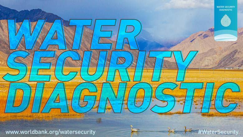 Water Security Diagnostic
