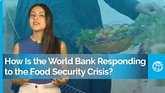 How is the World Bank responding to the Food Security Crisis