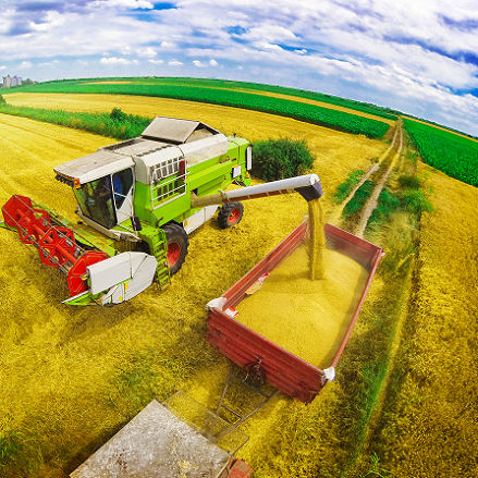 WBRER24 Agriculture Serbia