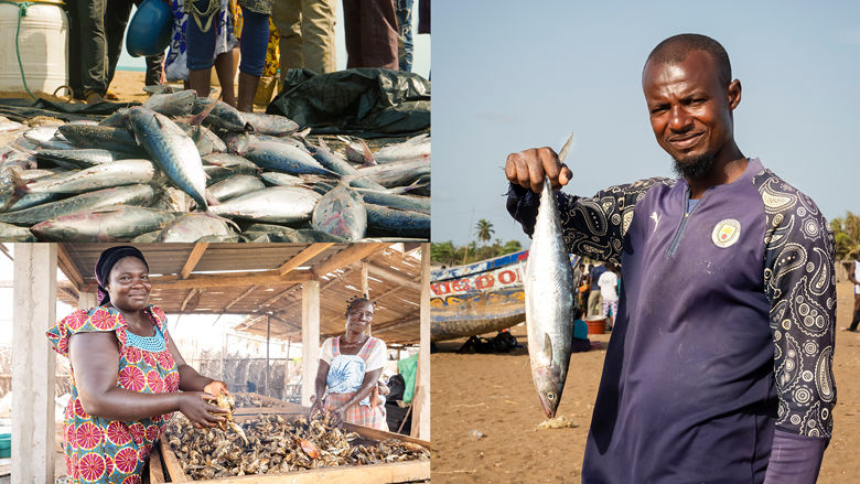 The Tamed Sea: An Alliance Restored With Coastal Communities