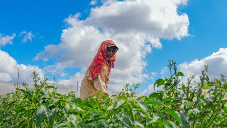 Sapling - South Asian female famer tending to crops