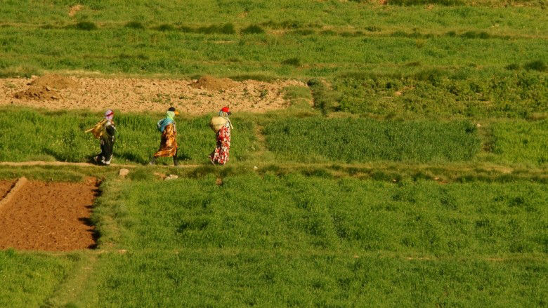 Women in Morocco crossing an agricultural field in the Atlas Mountains.  (Shutterstock.com/bieszczady_wildlife)