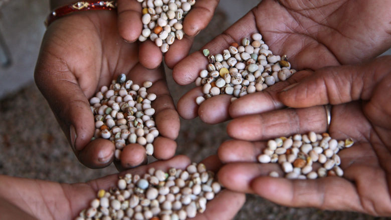 Women show agricultural products in India