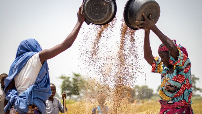 Farmers in Kano State Nigeria   