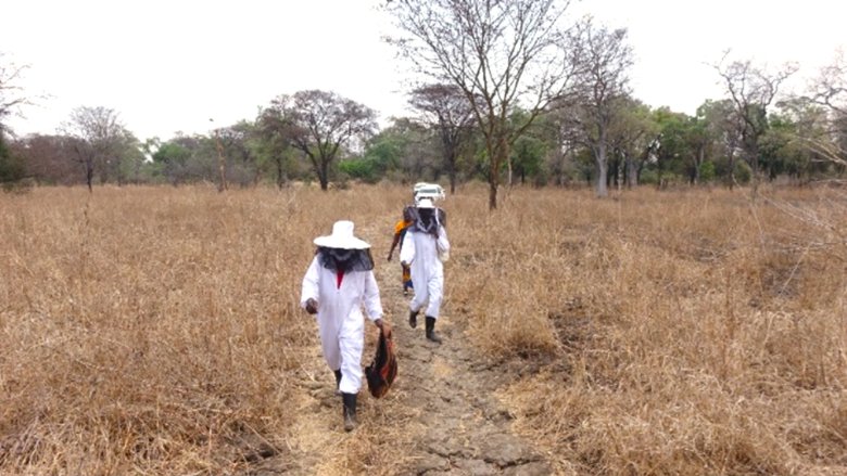 Beekeepers walking down a path in a grass field.