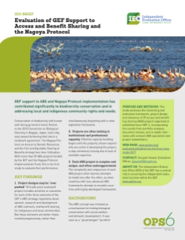 Evaluation of GEF Support to Access and Benefit Sharing (ABS) and the Nagoya Protocol 2017