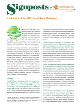 Focal Area Strategies