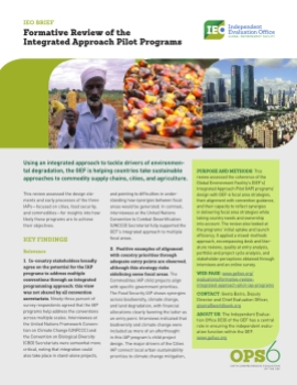 Formative Review of the Integrated Approach Pilot (IAP) Programs