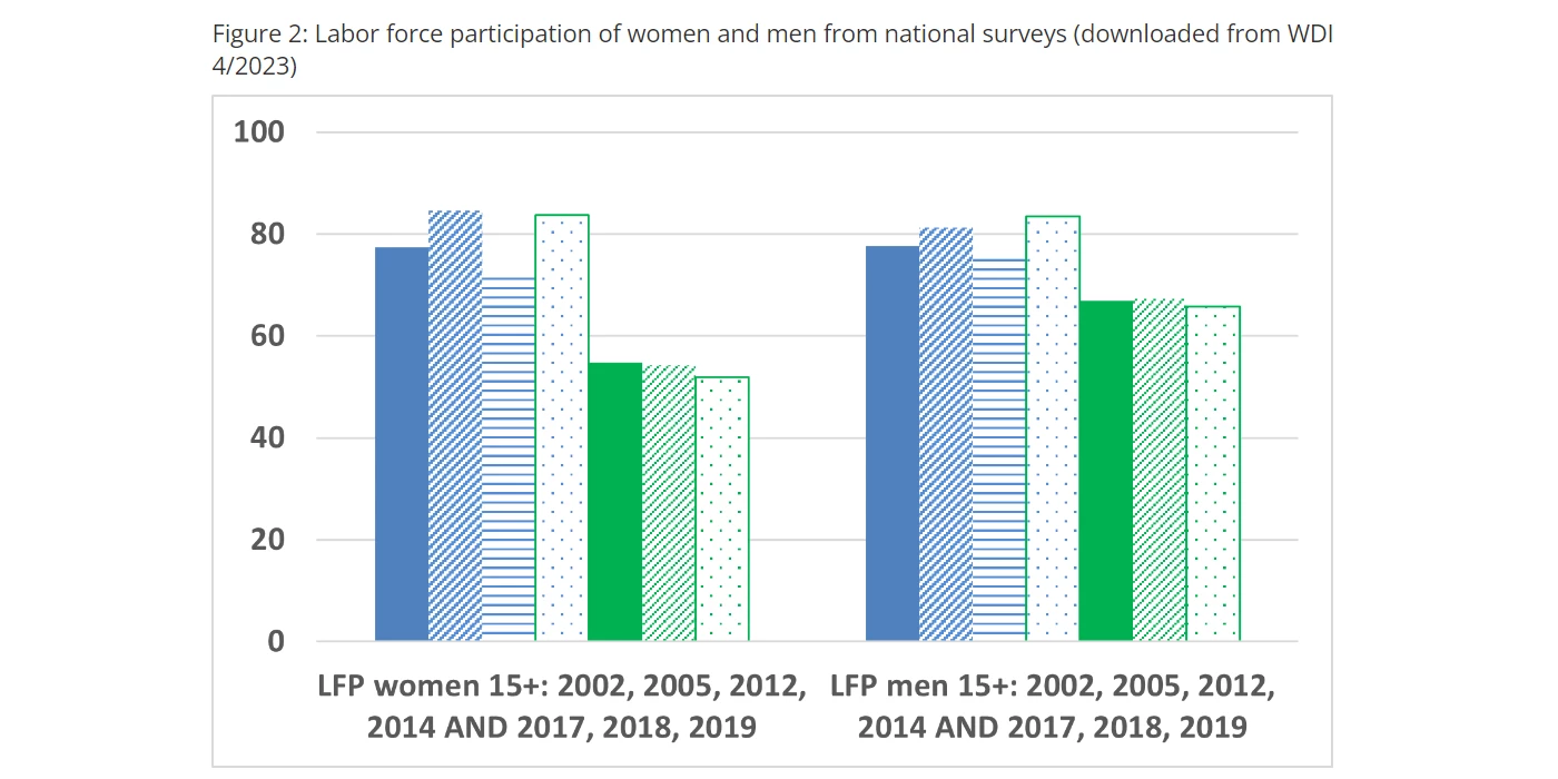 Data Stories and Blogs | World Bank Gender Data Portal